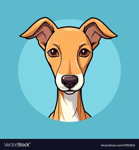 590+ Greyhound Cartoons Illustrations, Royalty.